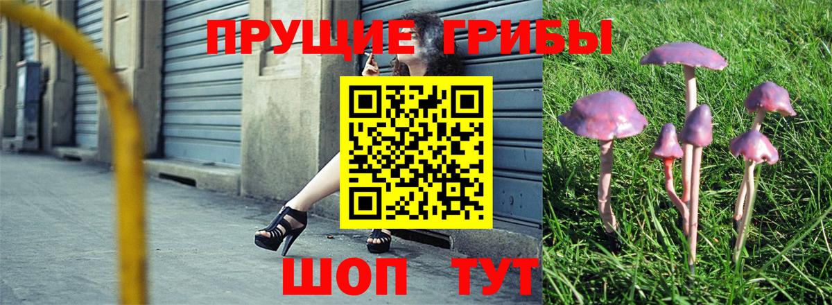 Псилоцибиновые грибы Psilocybine cubensis  Вход с VPN  Прохладный 